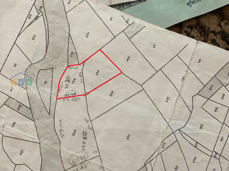 Land on Sale at Bhangal Sundarbasti